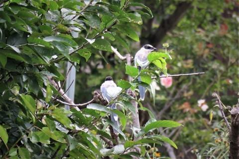 IMG_0756-1.jpg