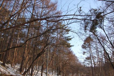 IMG_1297_R.JPG