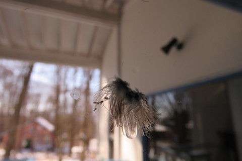 IMG_9246.JPG